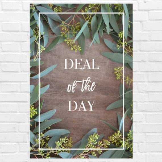 Deal of the Day